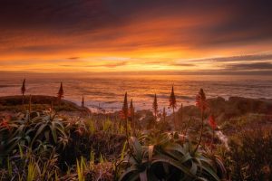 Photograph by Jeff Regan